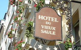 Hotel Du Vieux Saule
